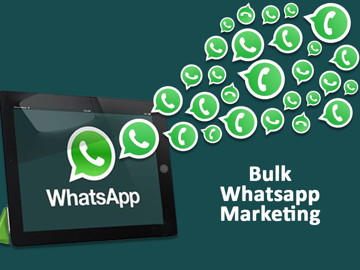 Whatsapp Marketing